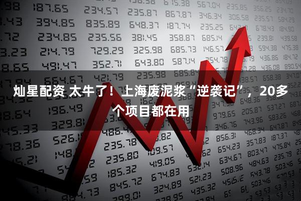 灿星配资 太牛了！上海废泥浆“逆袭记”，20多个项目都在用