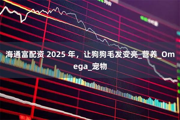 海通富配资 2025 年，让狗狗毛发变亮_营养_Omega_宠物