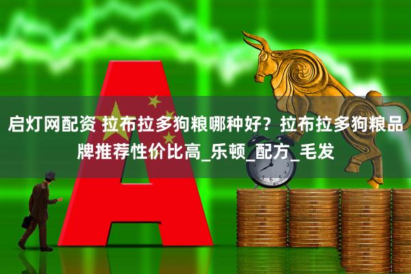 启灯网配资 拉布拉多狗粮哪种好？拉布拉多狗粮品牌推荐性价比高_乐顿_配方_毛发