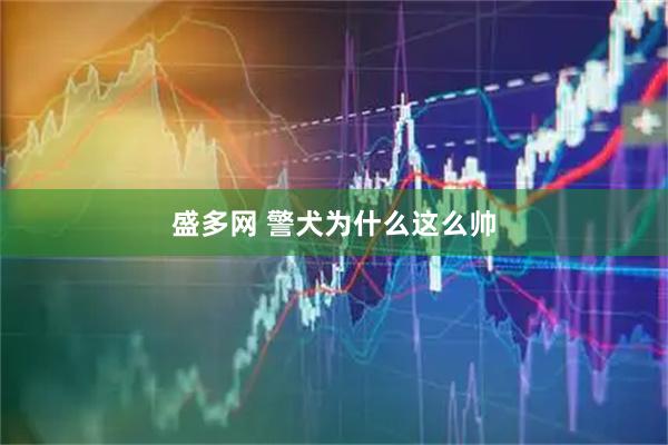 盛多网 警犬为什么这么帅