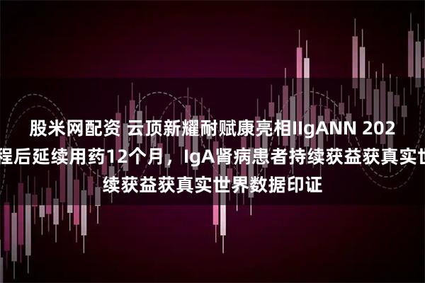 股米网配资 云顶新耀耐赋康亮相IIgANN 2025：9个月疗程后延续用药12个月，IgA肾病患者持续获益获真实世界数据印证
